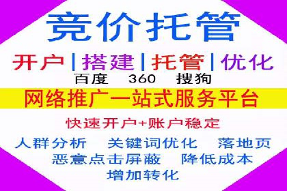 专业SEM服务公司案例分析报告